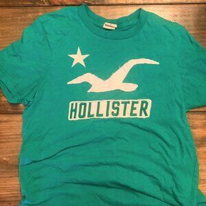 Mens Hollister shirt Size L green with white